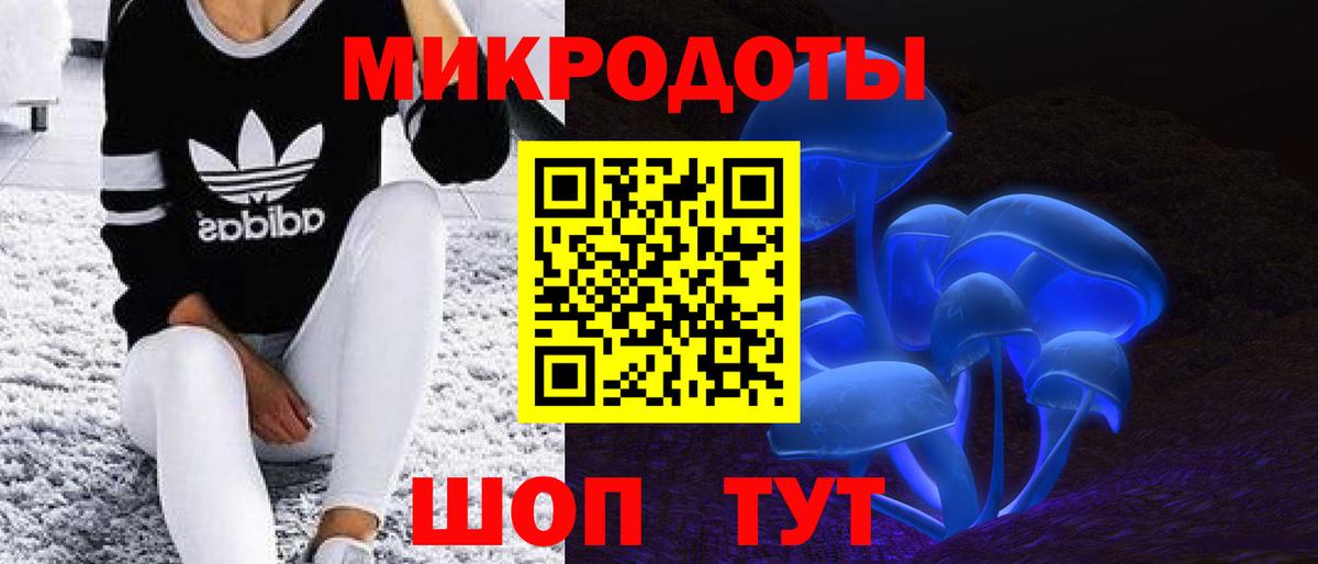 Псилоцибиновые грибы мухоморы Чехов